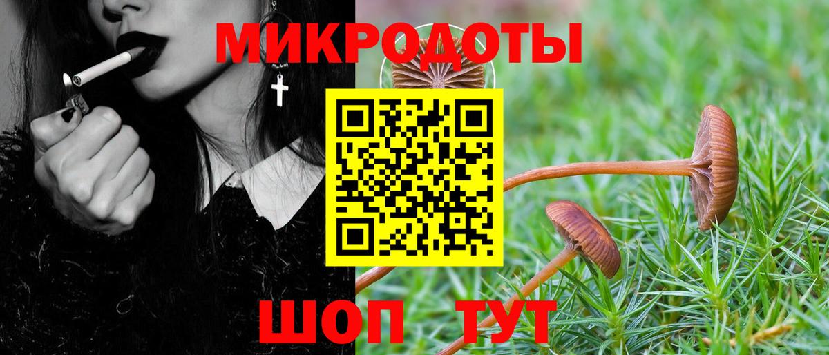 Нововоронеж  Галлюциногенные грибы мухоморы  Вход с VPN 